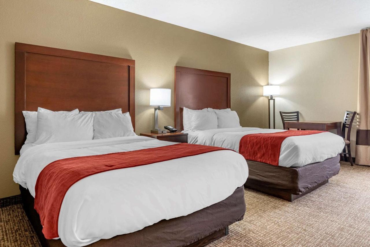Hotel Comfort & Cincinnati Eastgate